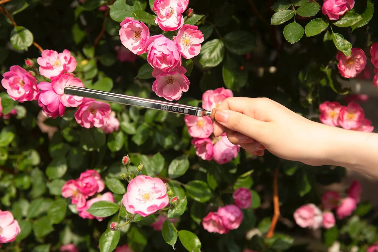 128 Hz Flower of Life Tuning Fork / Gentle Energy