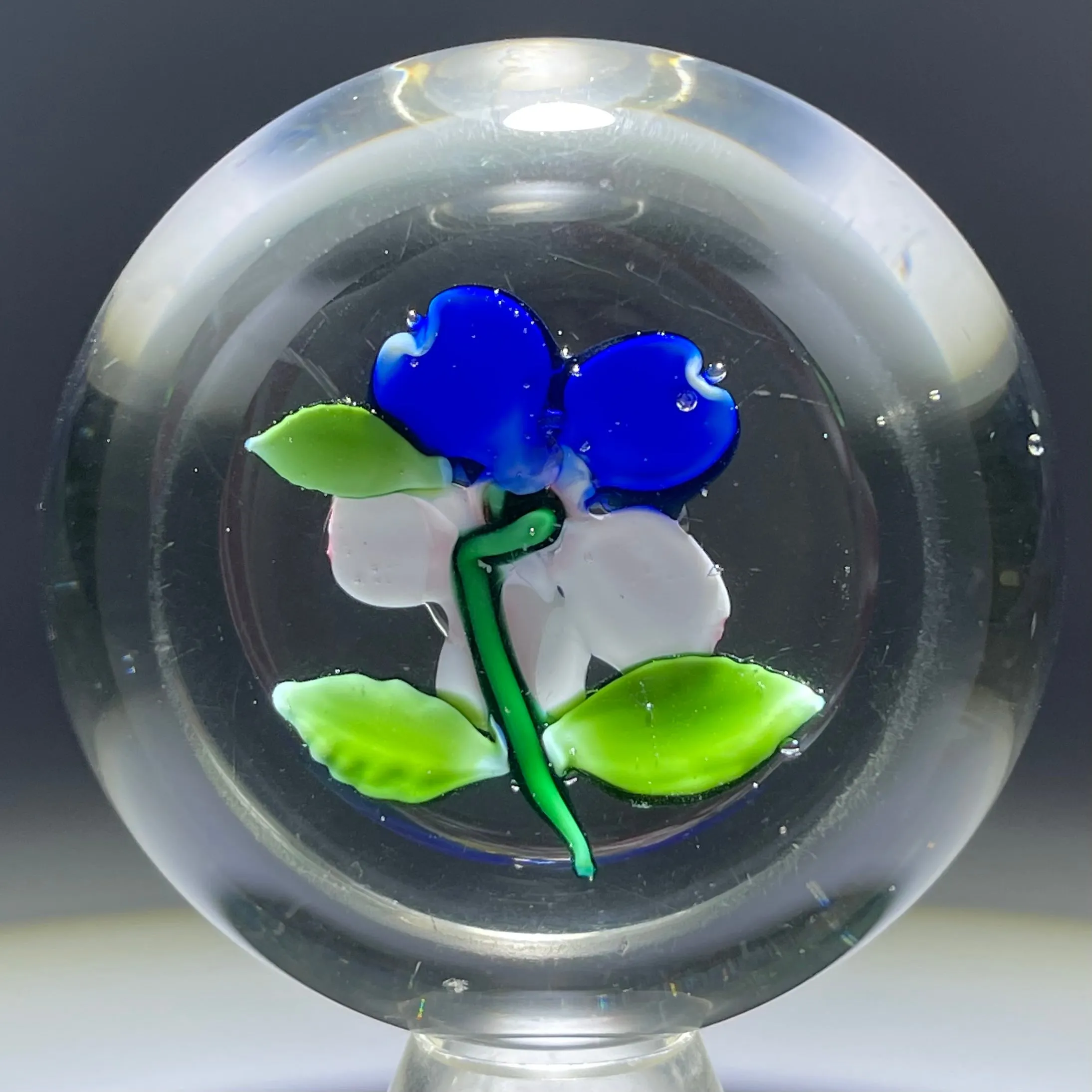 Antique Boston & Sandwich Lampwork Fantasy Flower Blue Pansy on Clear