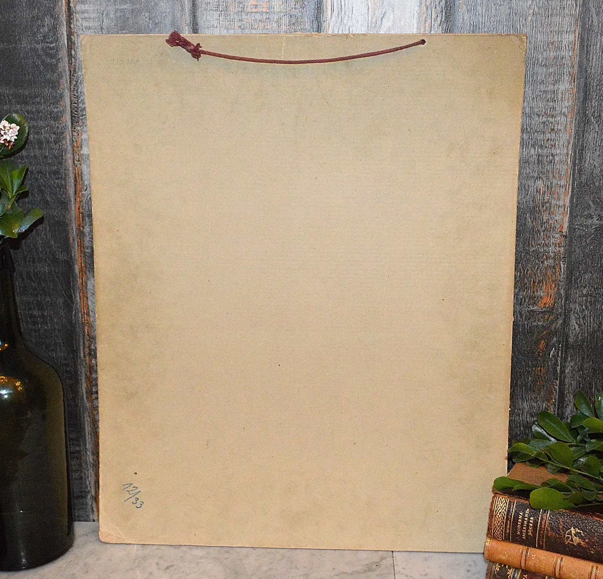 Antique Botanical Chart Lithograph of Leaves Educational German Litho