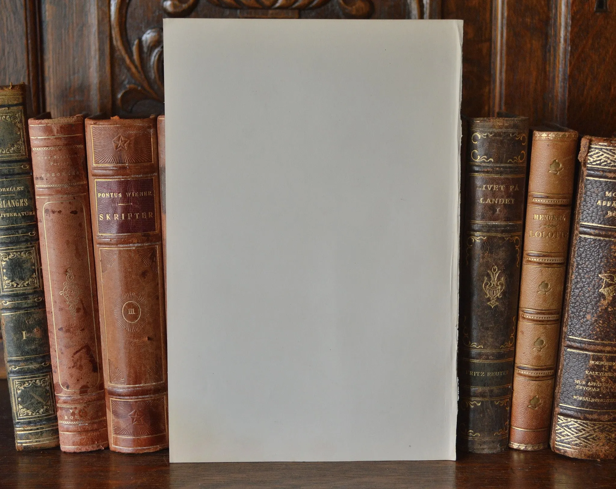 Antique Floral Botanical Print Book Plate Page