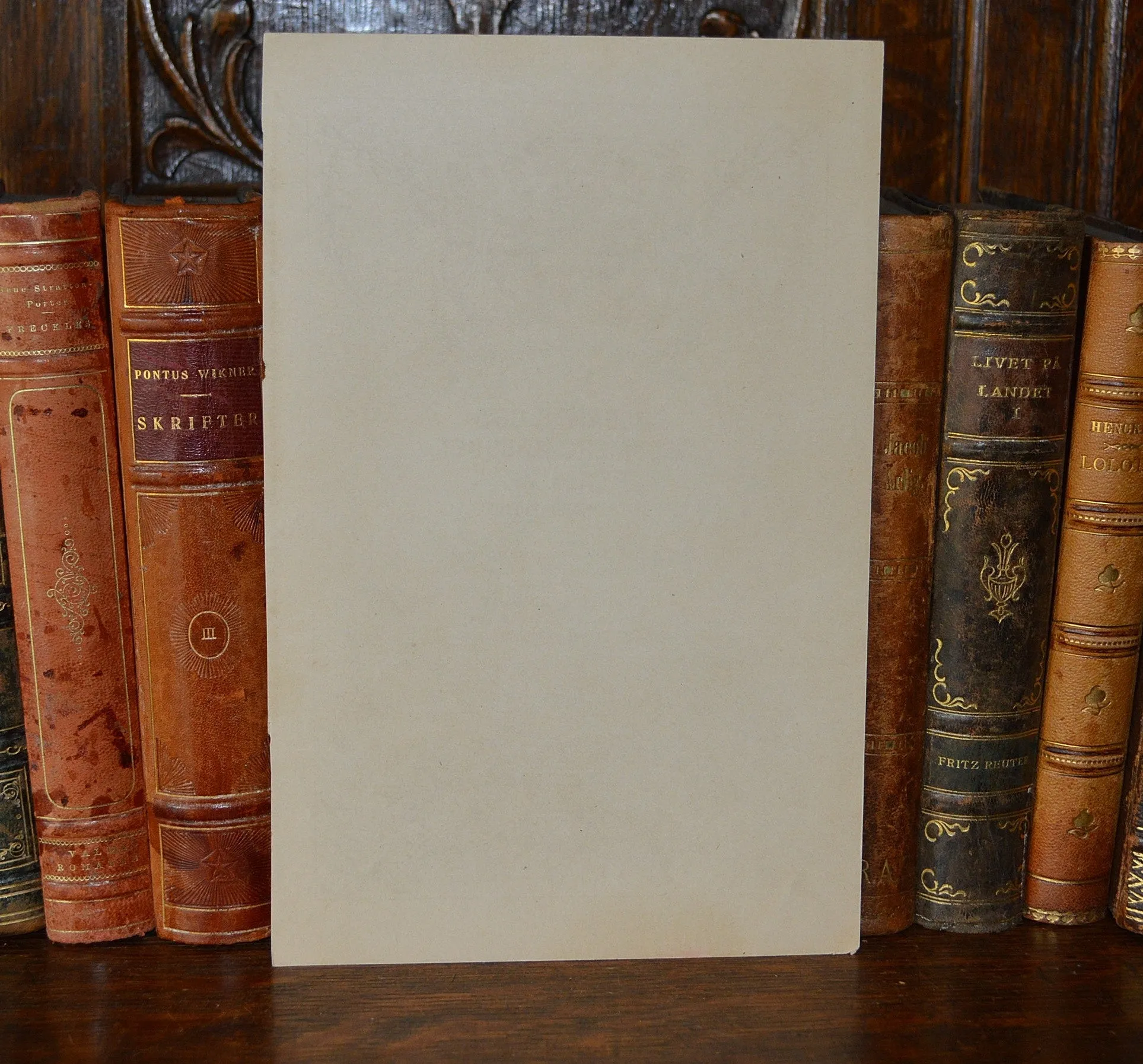 Antique Pink Floral Botanical Print Book Plate Page