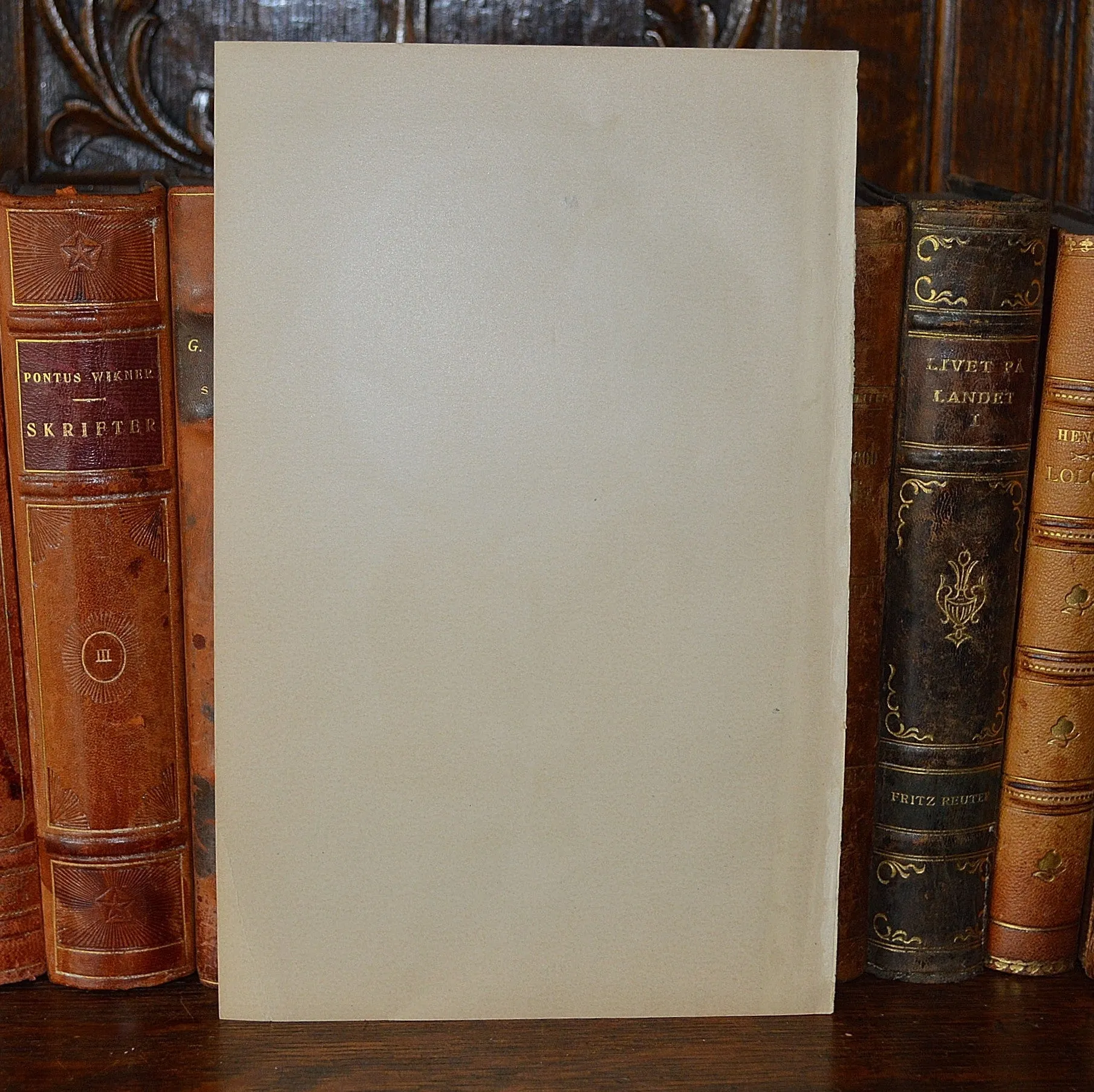 Antique Red Apple Botanical Print Book Plate 1905