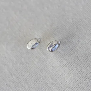apple seed studs