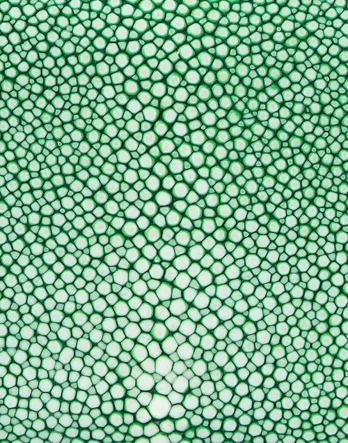 Baby Grande Emerald Stingray Clutch