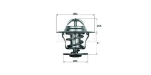 Behr-Mahle Thermostat 87°C & Seal (Tx1587D)