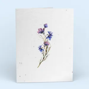 Blue Botanical