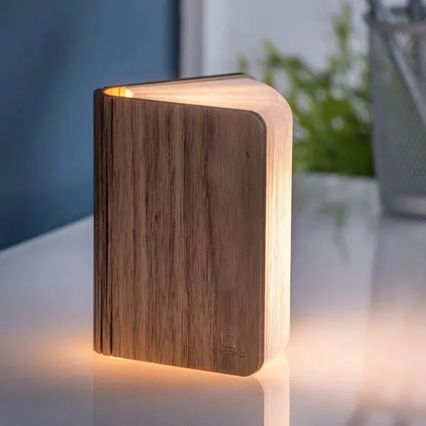 Book Light
