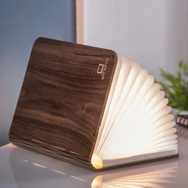 Book Light
