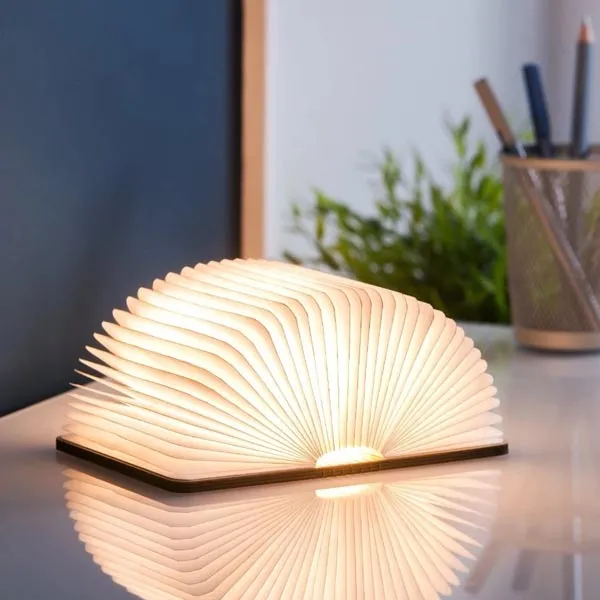 Book Light
