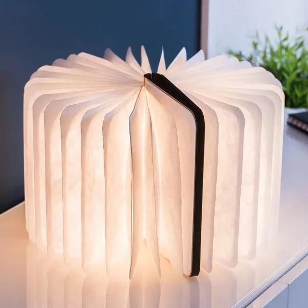 Book Light