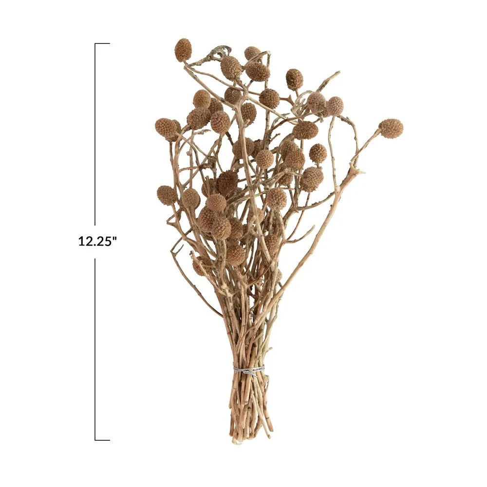 Bora Bunch