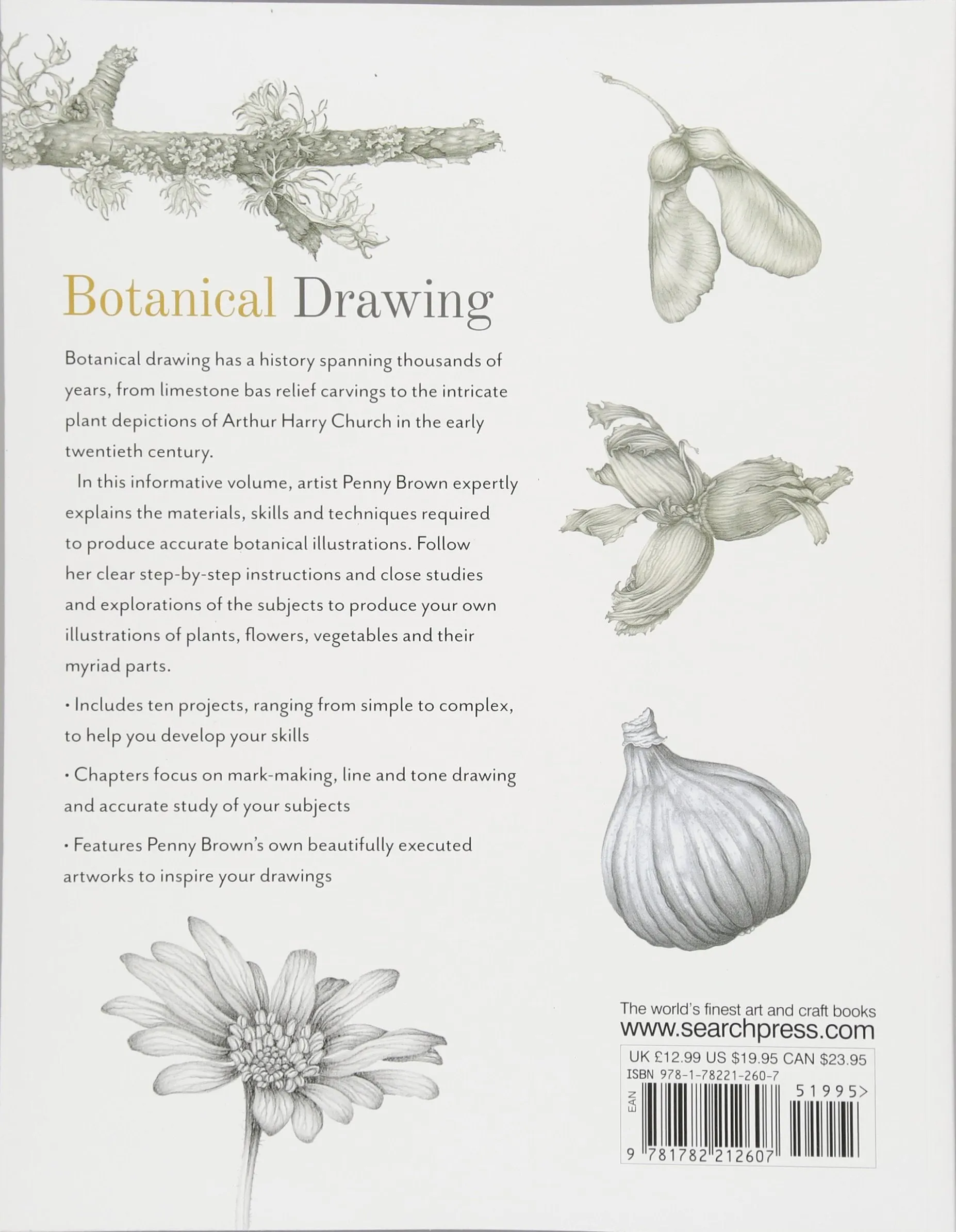 Botanical Drawing: A Step by Step Guide