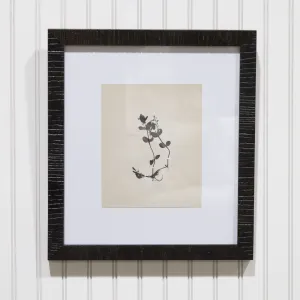 Botanical II