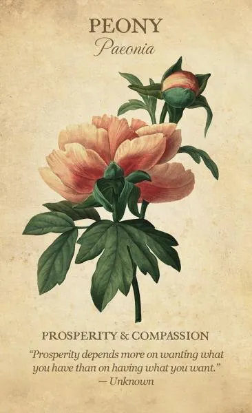 Botanical Inspiration Deck/Book Set