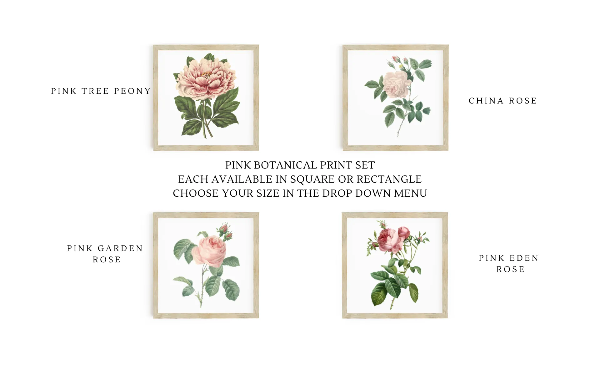 Botanical Print Signs