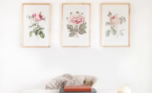 Botanical Print Signs