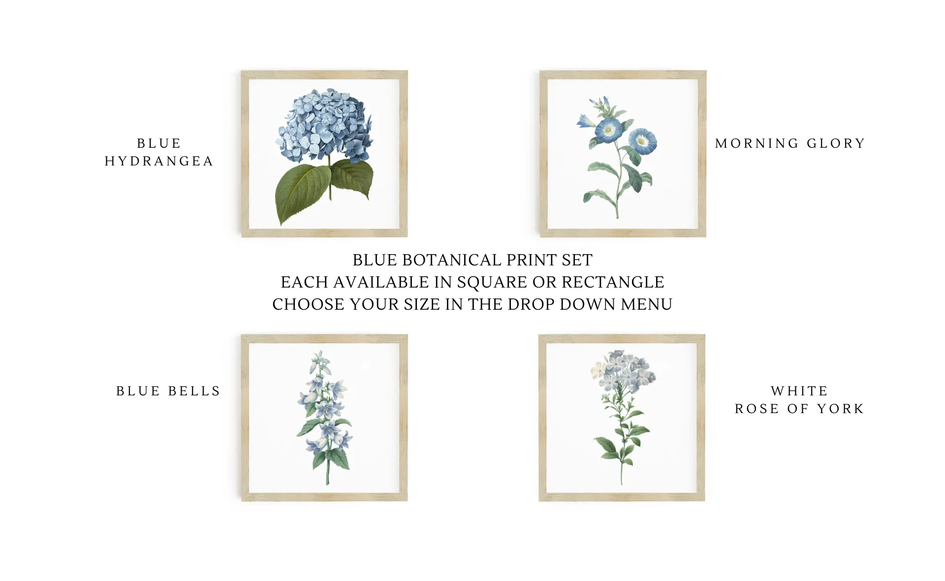 Botanical Print Signs