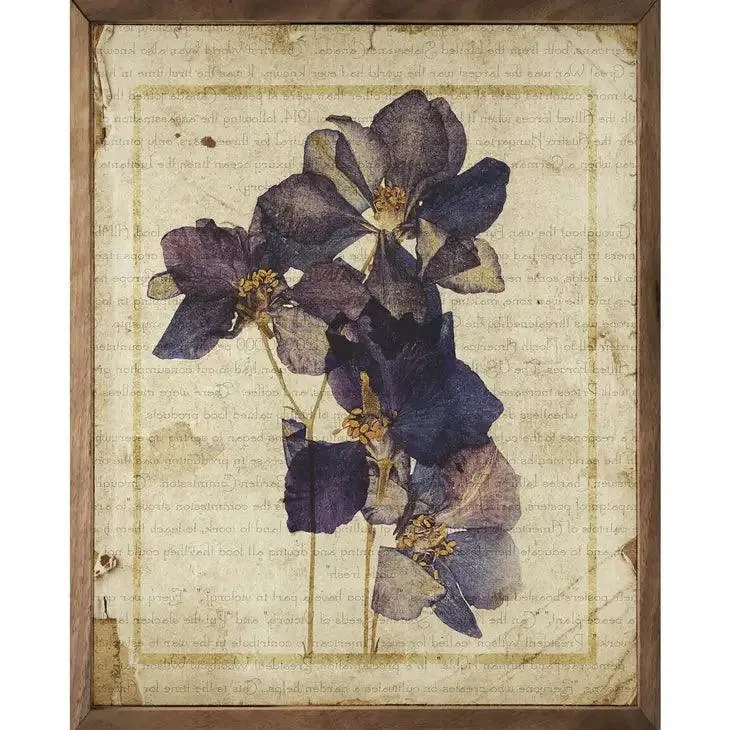 Botanical Prints - Assorted Styles