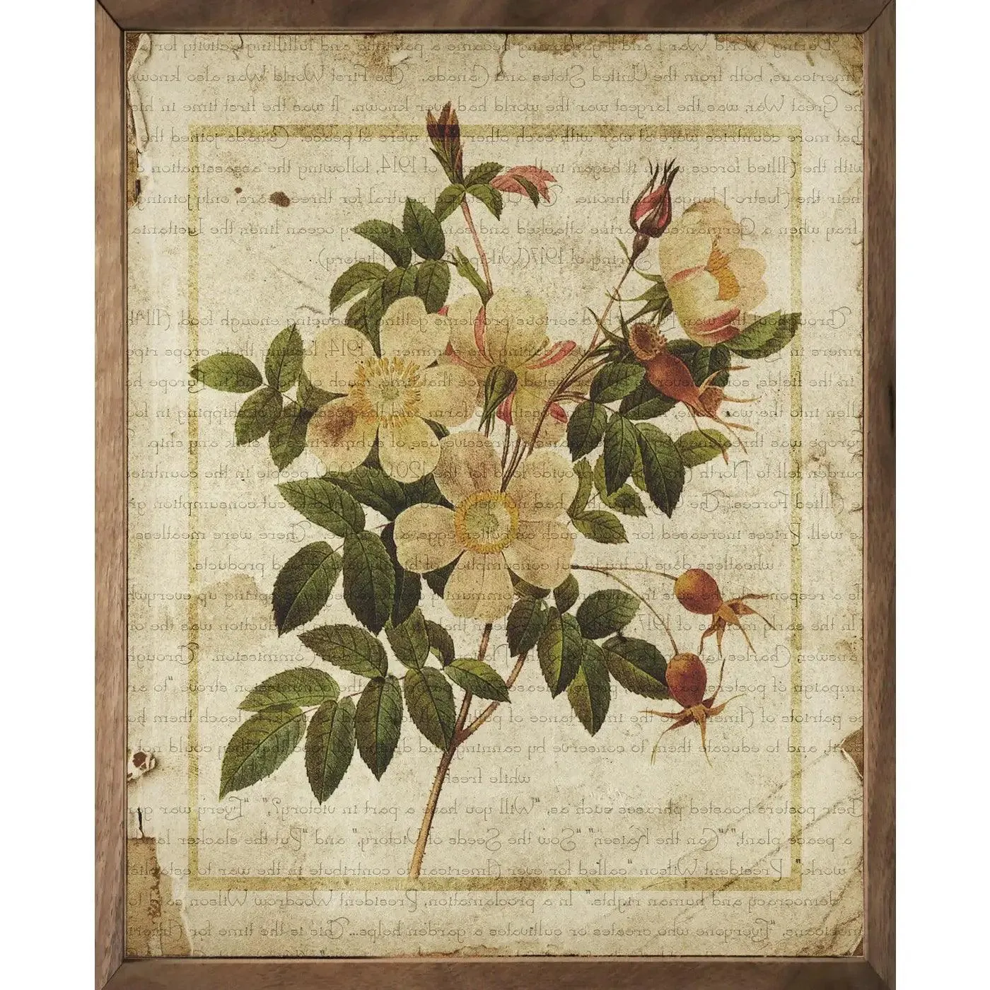 Botanical Prints - Assorted Styles