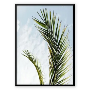Botanical