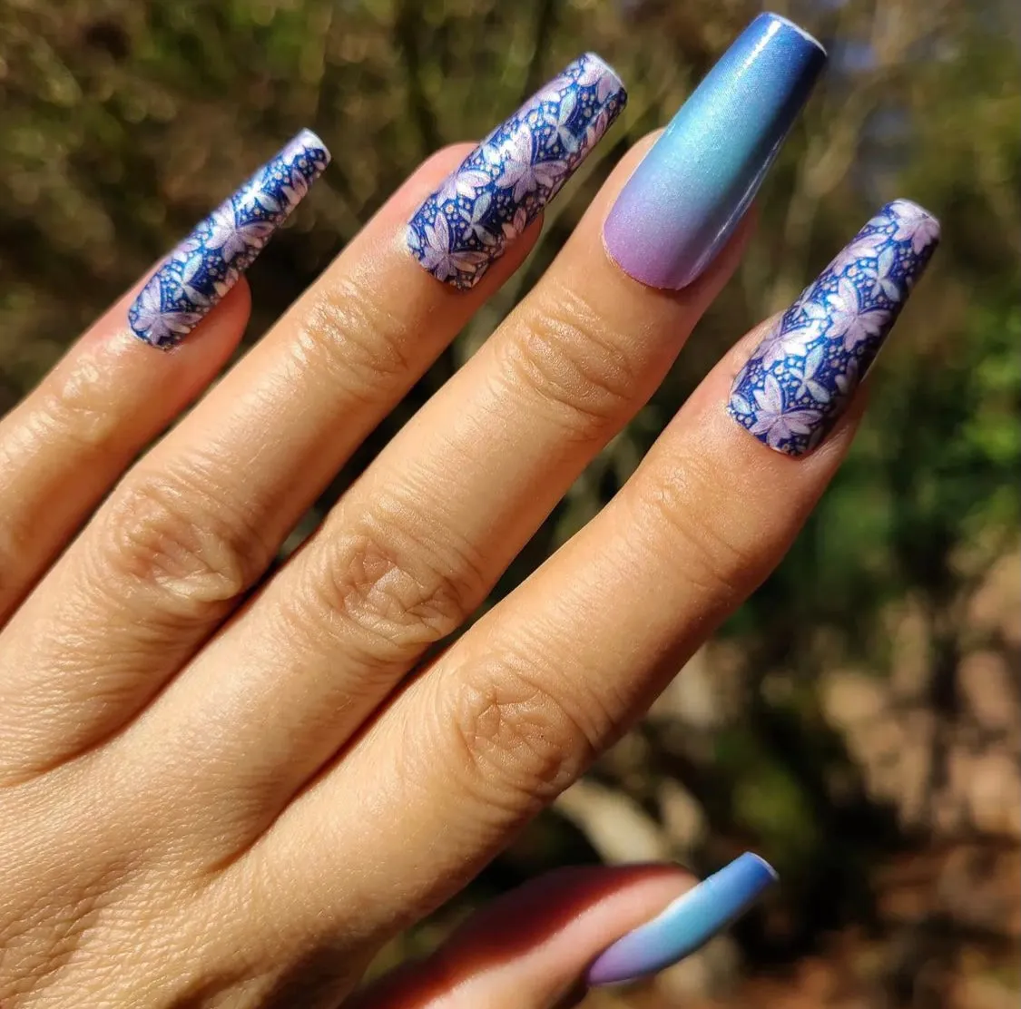 Butterfly Breeze (Exclusive)