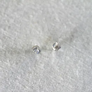 cacao nib studs