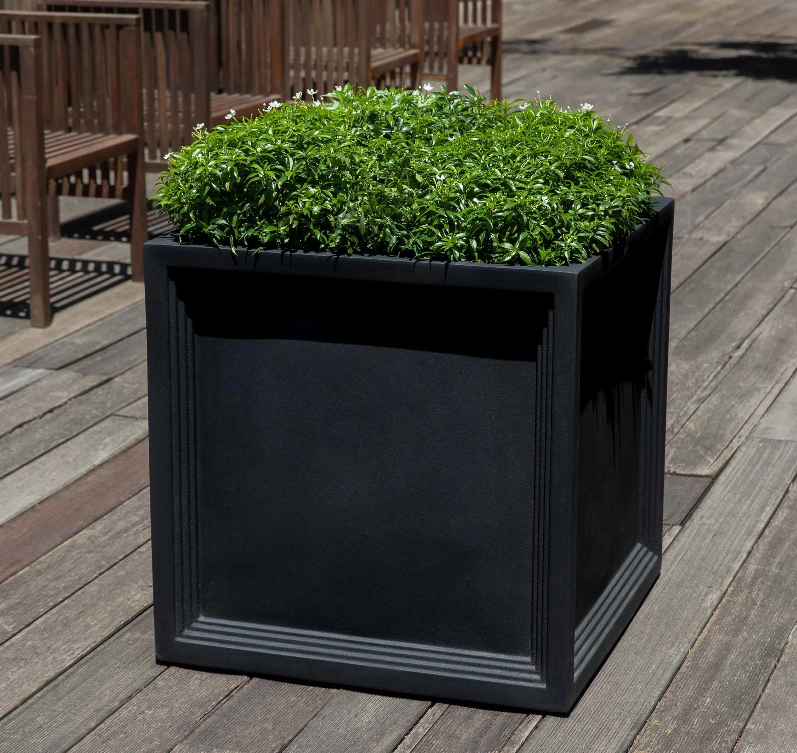 Campania Sandhurst Square Planter