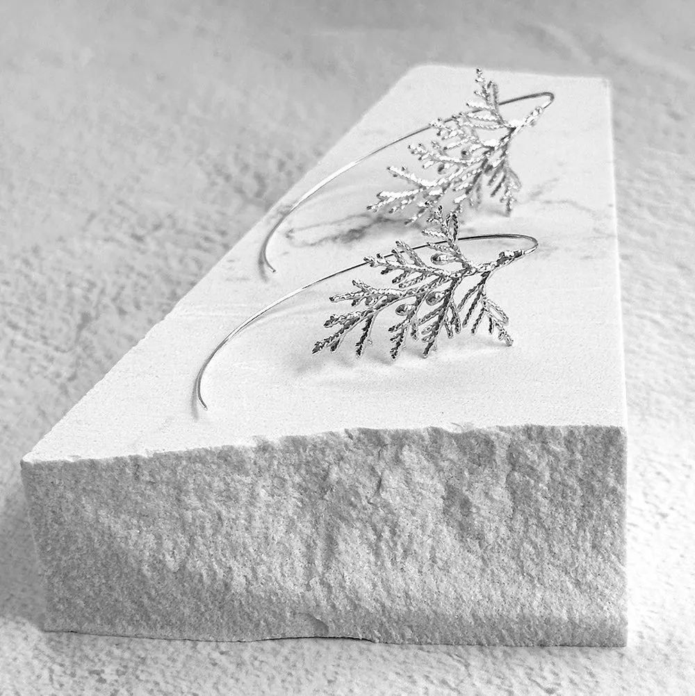 Cedar Arc Earrings