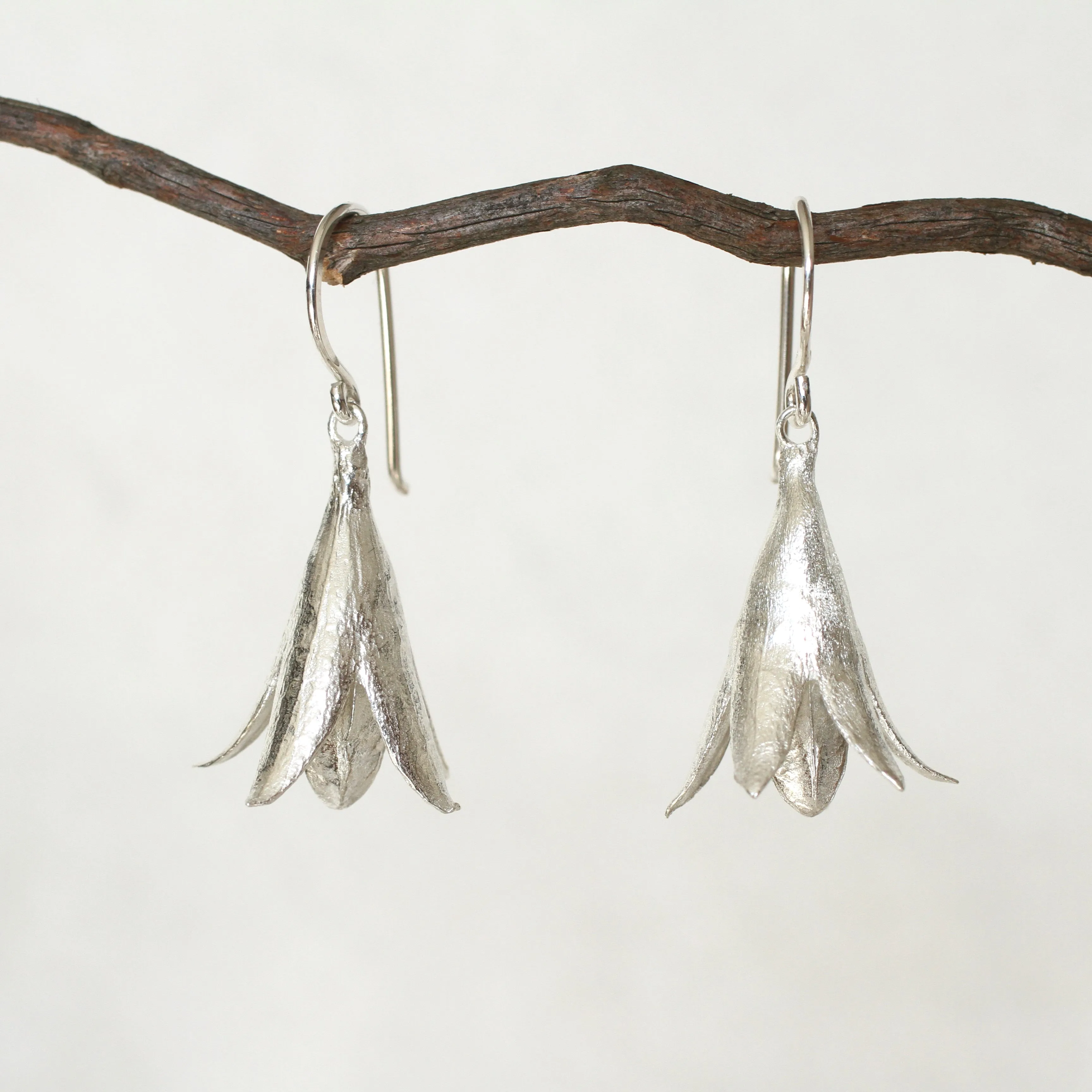 cedrela seed pod earrings