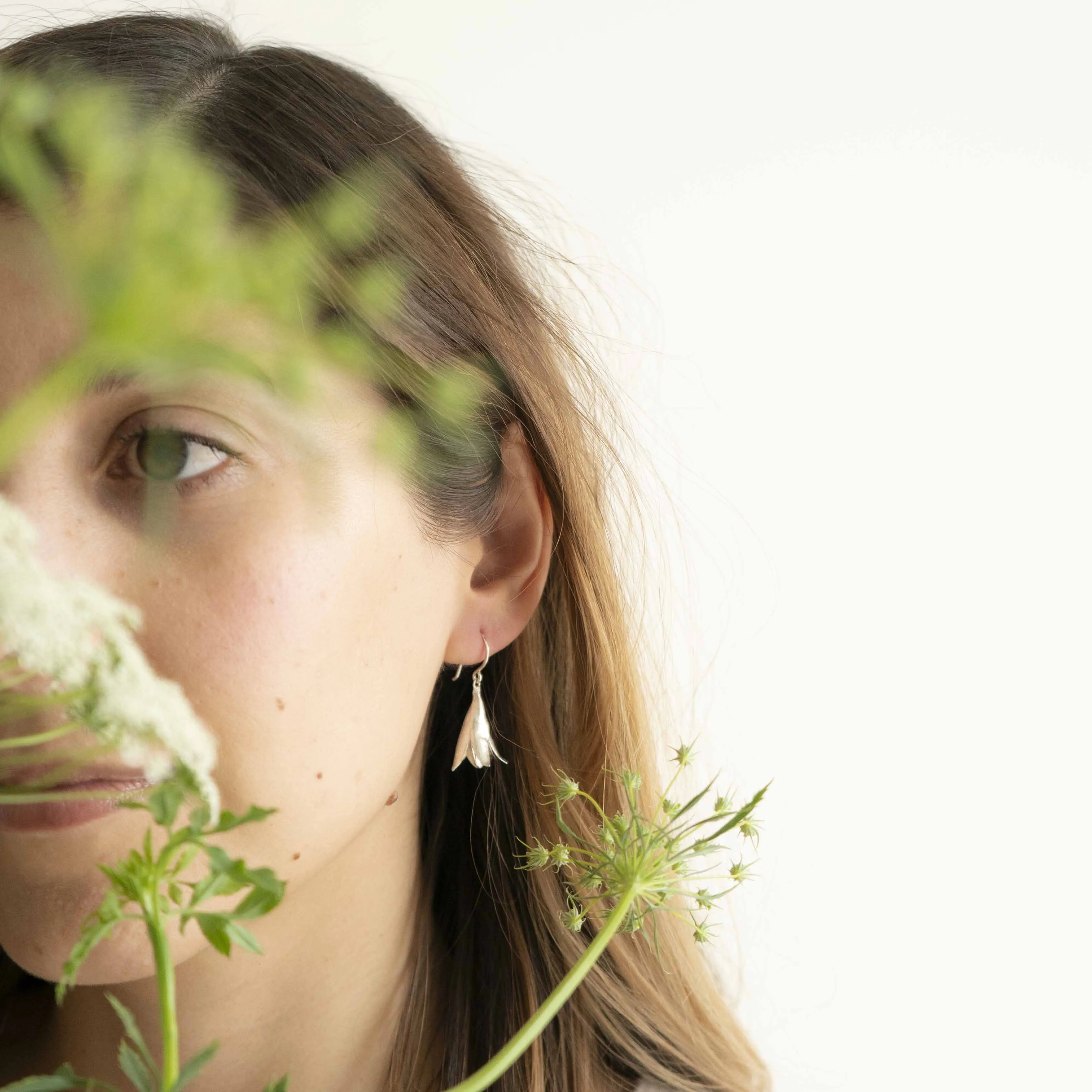 cedrela seed pod earrings