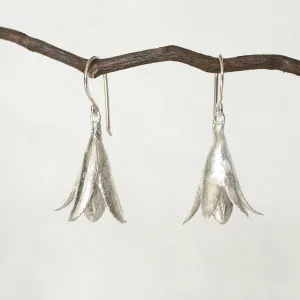 cedrela seed pod earrings