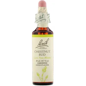 Chestnut Bud, Flower Essence