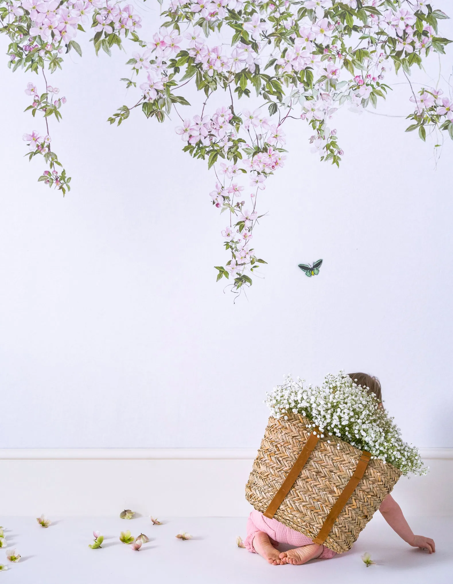clematis wallpaper