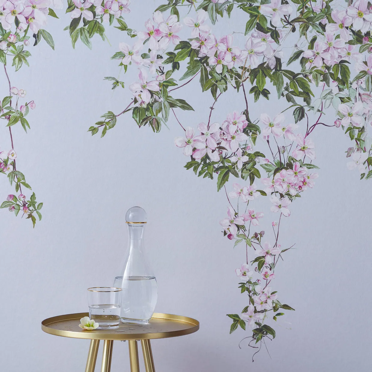 clematis wallpaper