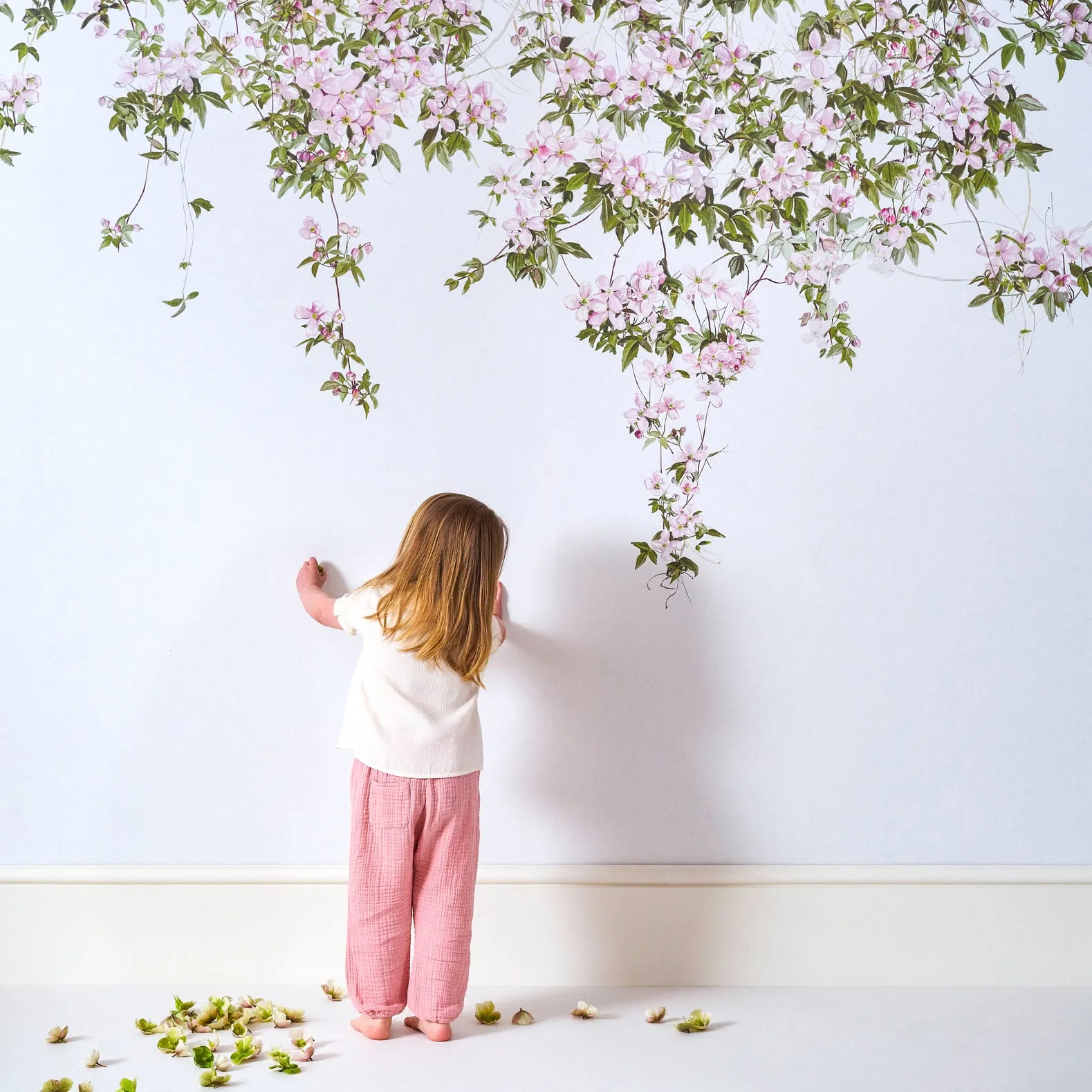 clematis wallpaper