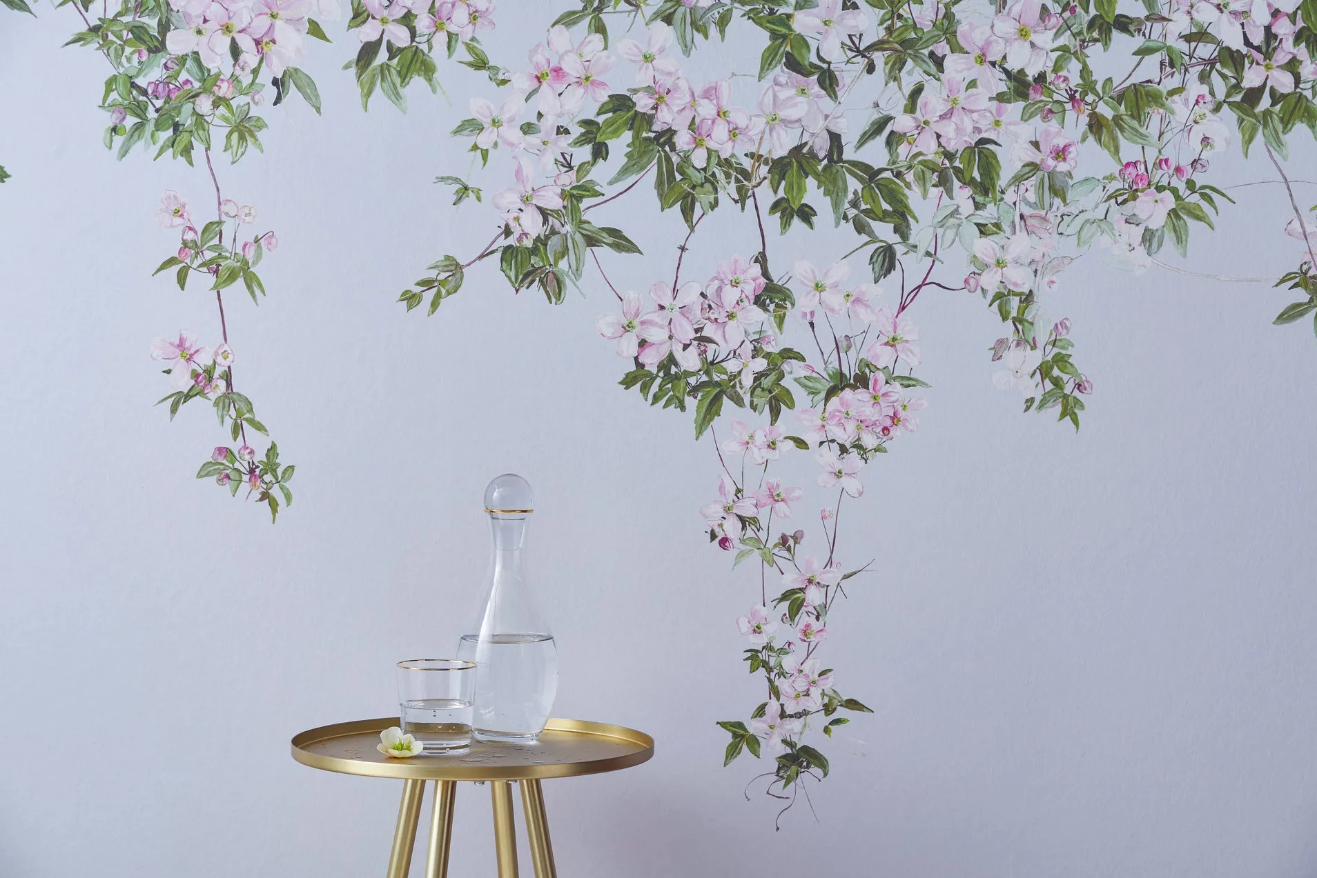 clematis wallpaper