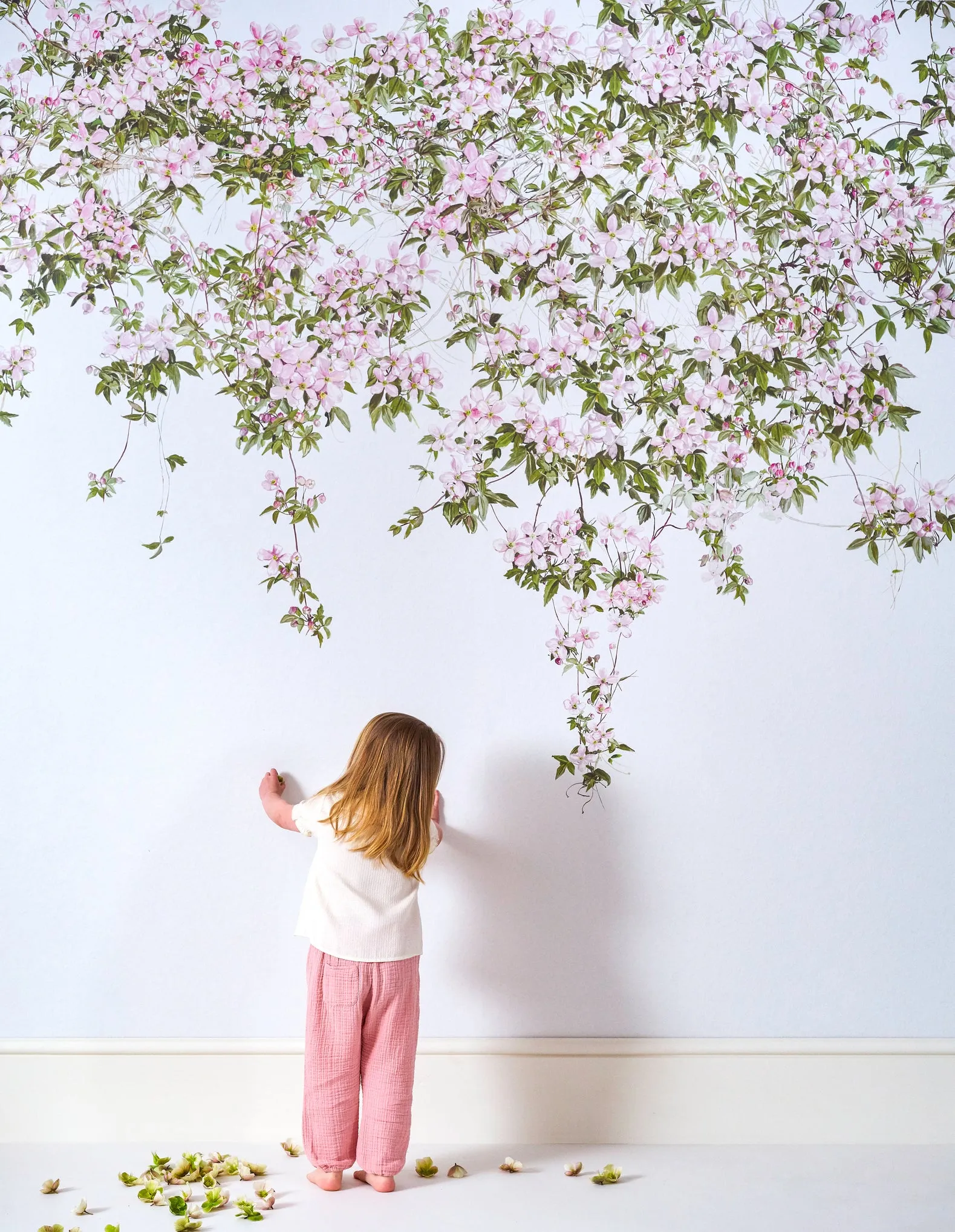 clematis wallpaper