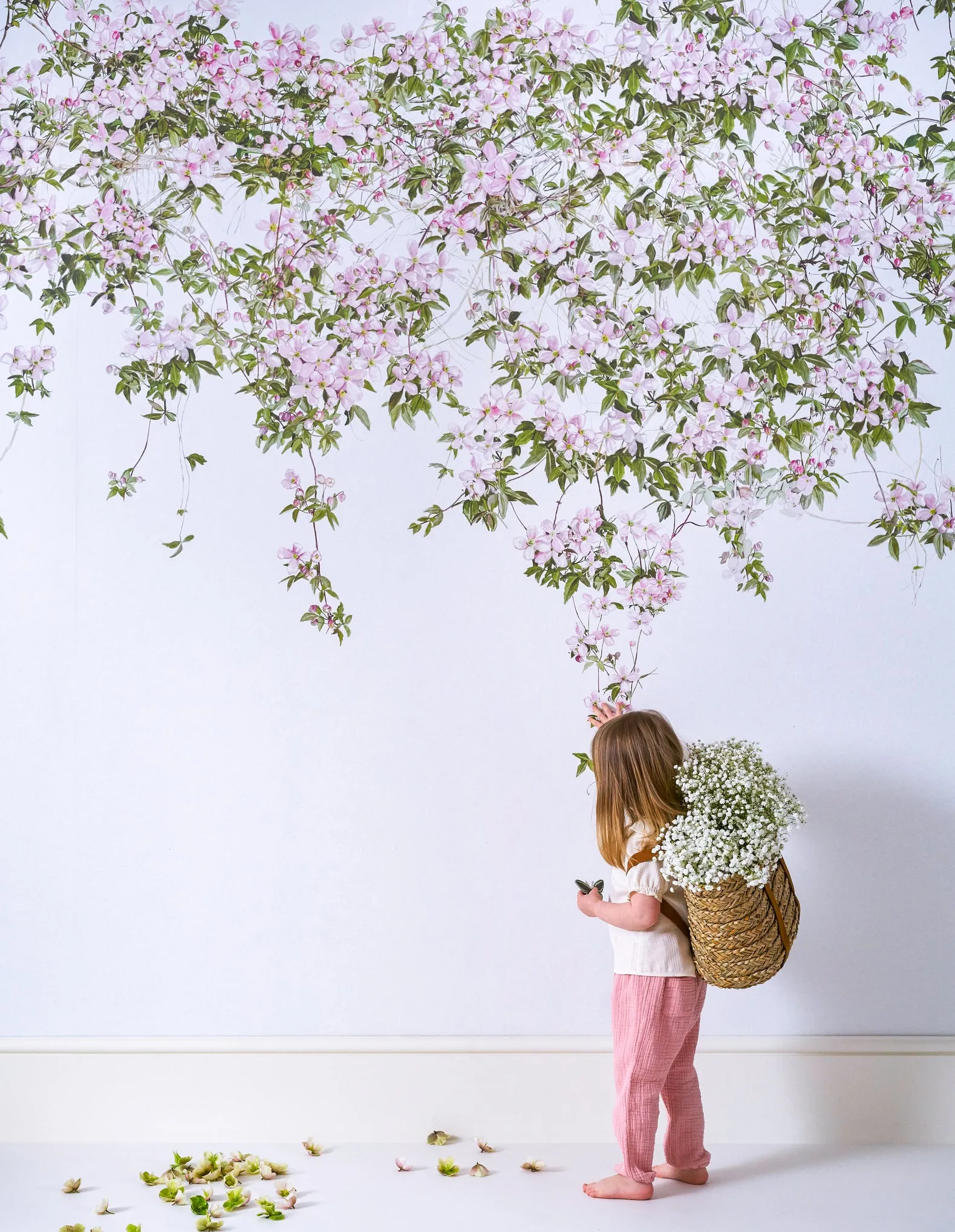 clematis wallpaper