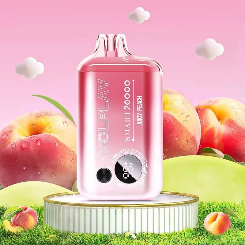COOLPLAY SMART 26K
