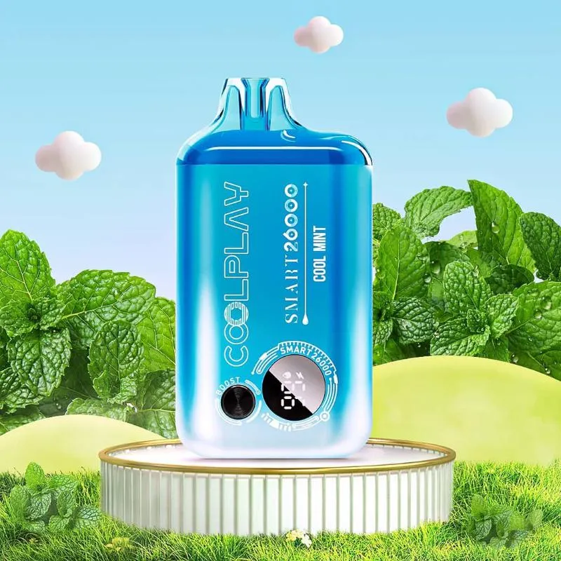 COOLPLAY SMART 26K
