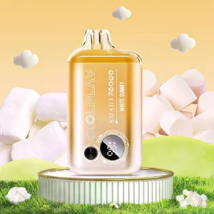 COOLPLAY SMART 26K