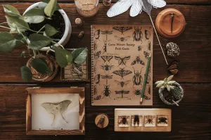 Curio Nature Society Field Guide Issue 10- INSECTS
