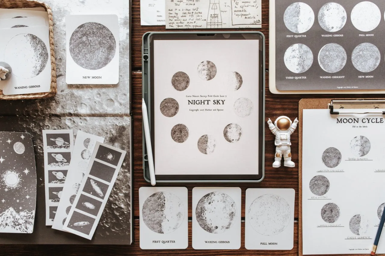 Curio Nature Society Field Guide Issue 5- NIGHT SKY