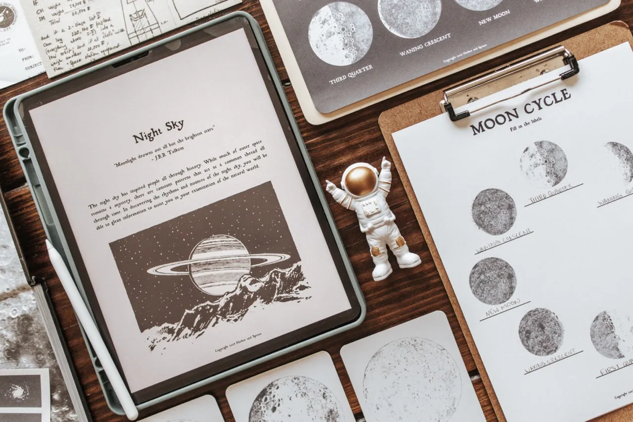 Curio Nature Society Field Guide Issue 5- NIGHT SKY