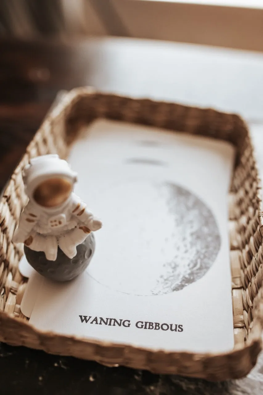 Curio Nature Society Field Guide Issue 5- NIGHT SKY