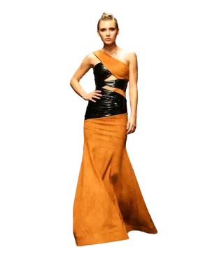 CYGNUS Look 3