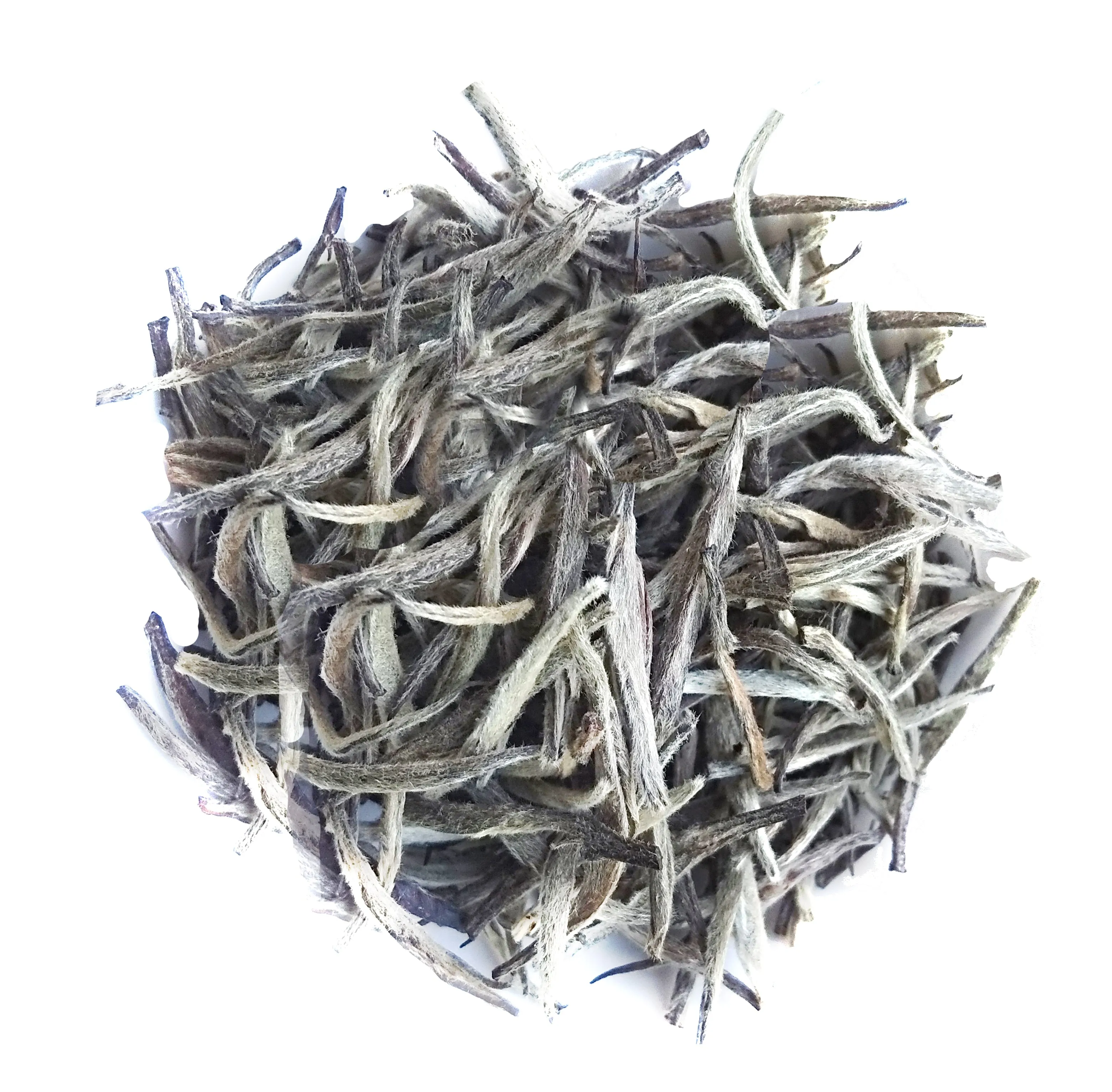Darjeeling Silver Needle