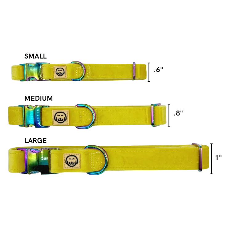 Deluxe Bundle - Sunshine Velvet