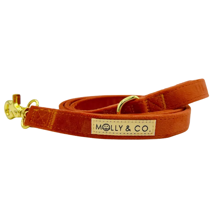 Deluxe Bundle - Tangerine Velvet