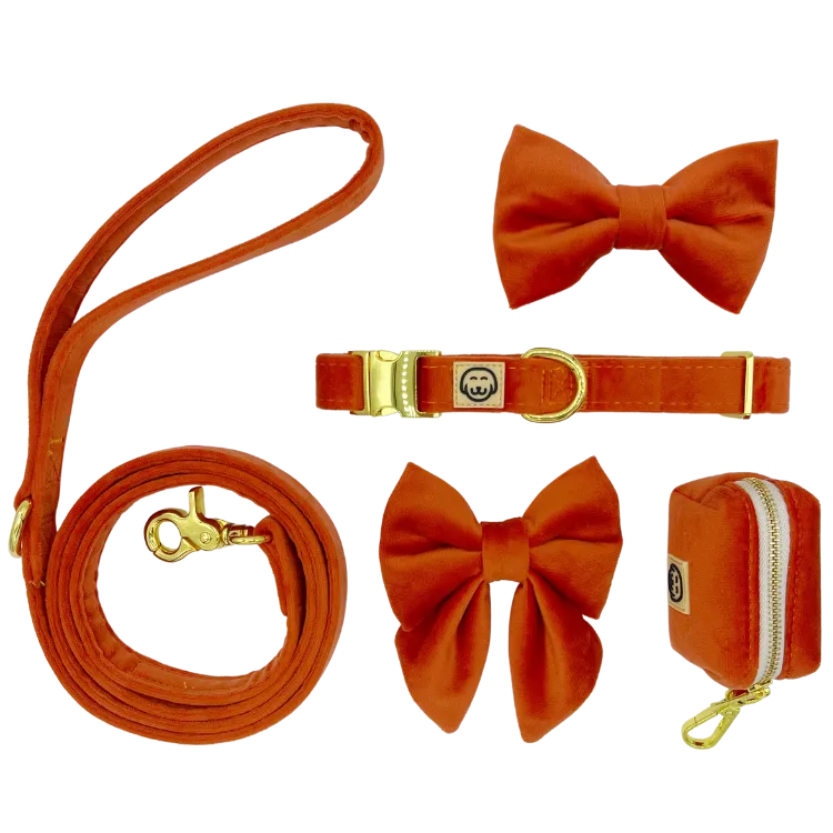 Deluxe Bundle - Tangerine Velvet
